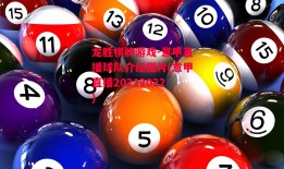 龙胜棋牌游戏-意甲直播球队介绍图片(意甲直播20212022)